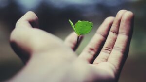Qué es un Growth Partner
